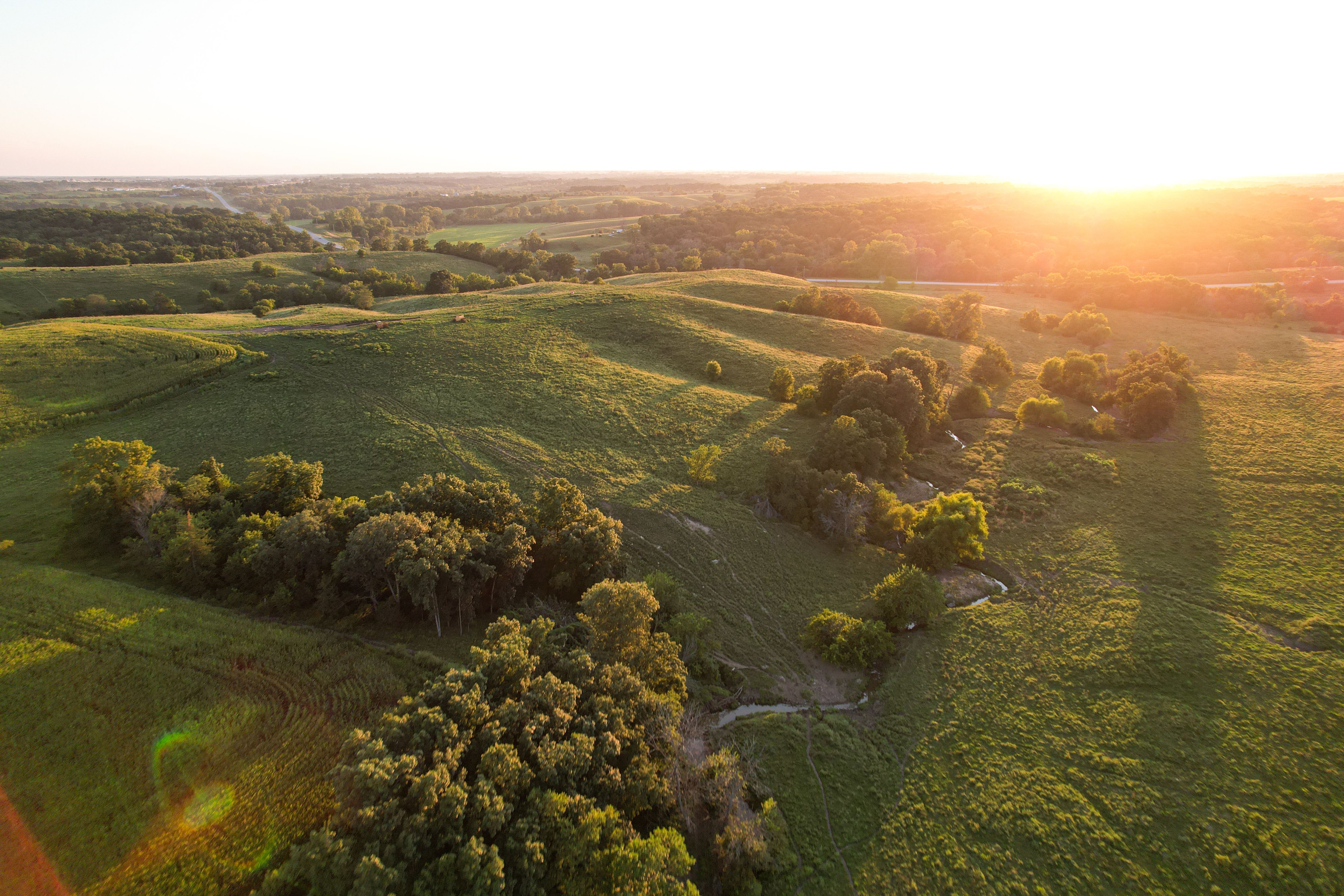 Listing Photo: Photo Aug 20 2025, 7 36 32 PM